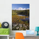 Autumn Colors At Reflection Lake And Mount Rainier Wall Mural