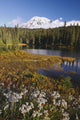 Autumn Colors At Reflection Lake And Mount Rainier Wall Mural
