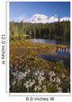 Autumn Colors At Reflection Lake And Mount Rainier Wall Mural