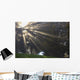 Rays Of Sunlight Through The Trees And Morning Fog Wall Mural