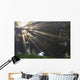 Rays Of Sunlight Through The Trees And Morning Fog Wall Mural