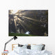 Rays Of Sunlight Through The Trees And Morning Fog Wall Mural
