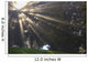Rays Of Sunlight Through The Trees And Morning Fog Wall Mural