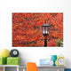 Autumn Colors On The Leaves And A Light Post Wall Mural