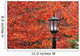 Autumn Colors On The Leaves And A Light Post Wall Mural