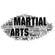 martial arts 2 Wall Decal