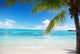 Ocean and Coconut Palms Wall Mural