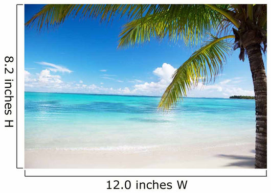 Ocean and Coconut Palms Wall Mural