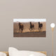 3 Running Arabic Horses Wall Mural