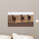 3 Running Arabic Horses Wall Mural