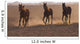 3 Running Arabic Horses Wall Mural