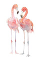 Two Pink Watercolor Flamingos Wall Decal