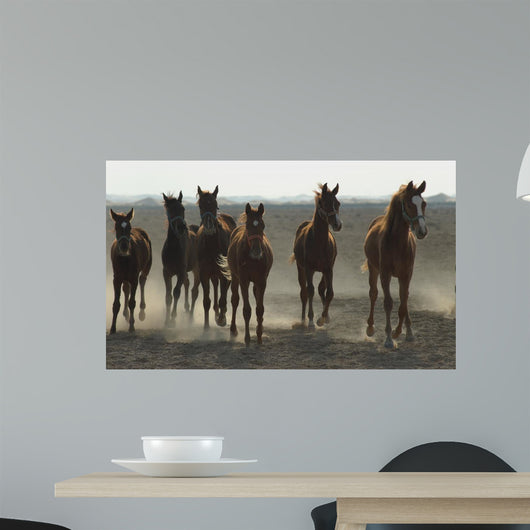 Arabian Horses Wall Mural