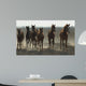 Arabian Horses Wall Mural
