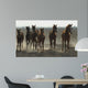 Arabian Horses Wall Mural