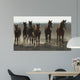 Arabian Horses Wall Mural