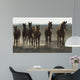 Arabian Horses Wall Mural