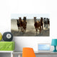 Several Arabian Horses Walking Wall Mural