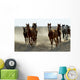 Several Arabian Horses Walking Wall Mural