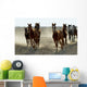 Several Arabian Horses Walking Wall Mural