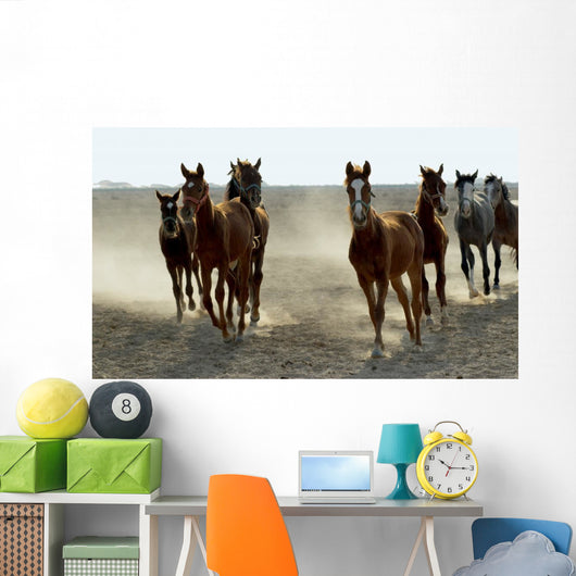 Several Arabian Horses Walking Wall Mural