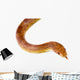 Corn Snake Wall Mural