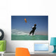KITE Wall Mural