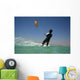 KITE Wall Mural