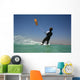 KITE Wall Mural