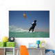 KITE Wall Mural