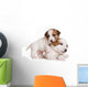 Jack Russell Terrier Puppy on White Wall Decal