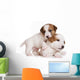 Jack Russell Terrier Puppy on White Wall Decal
