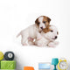 Jack Russell Terrier Puppy on White Wall Decal