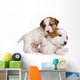 Jack Russell Terrier Puppy on White Wall Decal