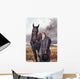 She Chose Me For Her Horse Wall Mural