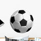 Realistic Soccer Ball Vector Wall Decal