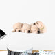 Four Sleeping Labrador Puppies Wall Decal