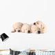 Four Sleeping Labrador Puppies Wall Decal