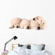 Four Sleeping Labrador Puppies Wall Decal