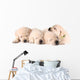 Four Sleeping Labrador Puppies Wall Decal