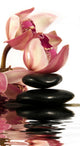Zen Pebbles Orchid Wall Decal