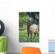Roe Deer In Forest, Canadian Rockies,Canada Wall Mural