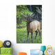 Roe Deer In Forest, Canadian Rockies,Canada Wall Mural