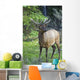 Roe Deer In Forest, Canadian Rockies,Canada Wall Mural