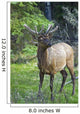 Roe Deer In Forest, Canadian Rockies,Canada Wall Mural