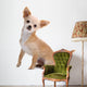 Chihuahua Isolated on White Wall Decal