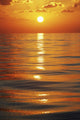 Sunset Over Ocean Horizon Wall Mural