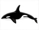 Killer Whale Wall Decal