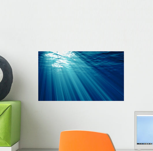 Underwater Wall Mural