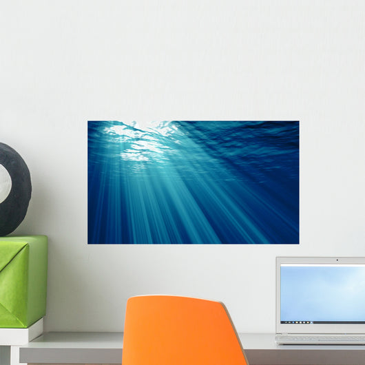 Underwater Wall Mural